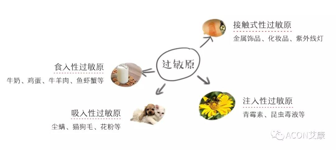 APAAACI 2019 | 深入解讀過(guò)敏原：從診斷到治療，優(yōu)化過(guò)敏原診斷管理——艾康生物過(guò)敏原檢測(cè)分會(huì)